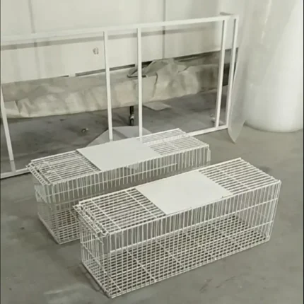 تله گربه با قفس