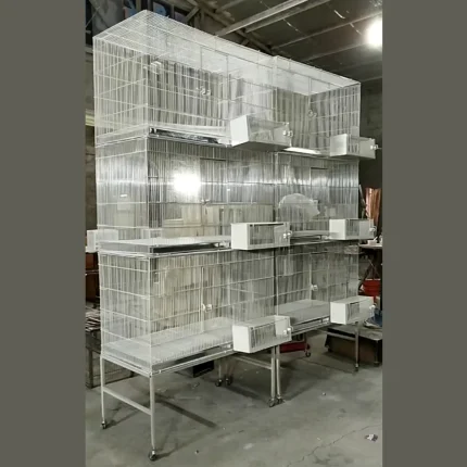 جفت کن کاسکویی